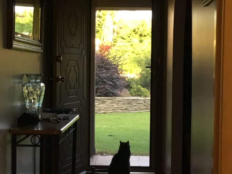 australian standard security door